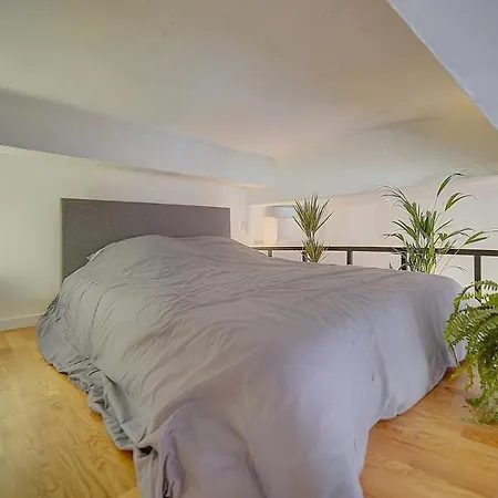 Le Clem - 100m Des Plages - Suquet - Verriere Cote D'azur * Cannes