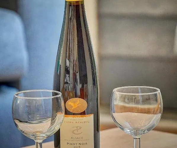 Le Clem - 100m Des Plages - Suquet - Verriere Cote D'azur Apartman